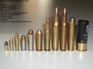 New Jersey Lawmaker Proposes 10-Round Limit for Ammunition Magazines