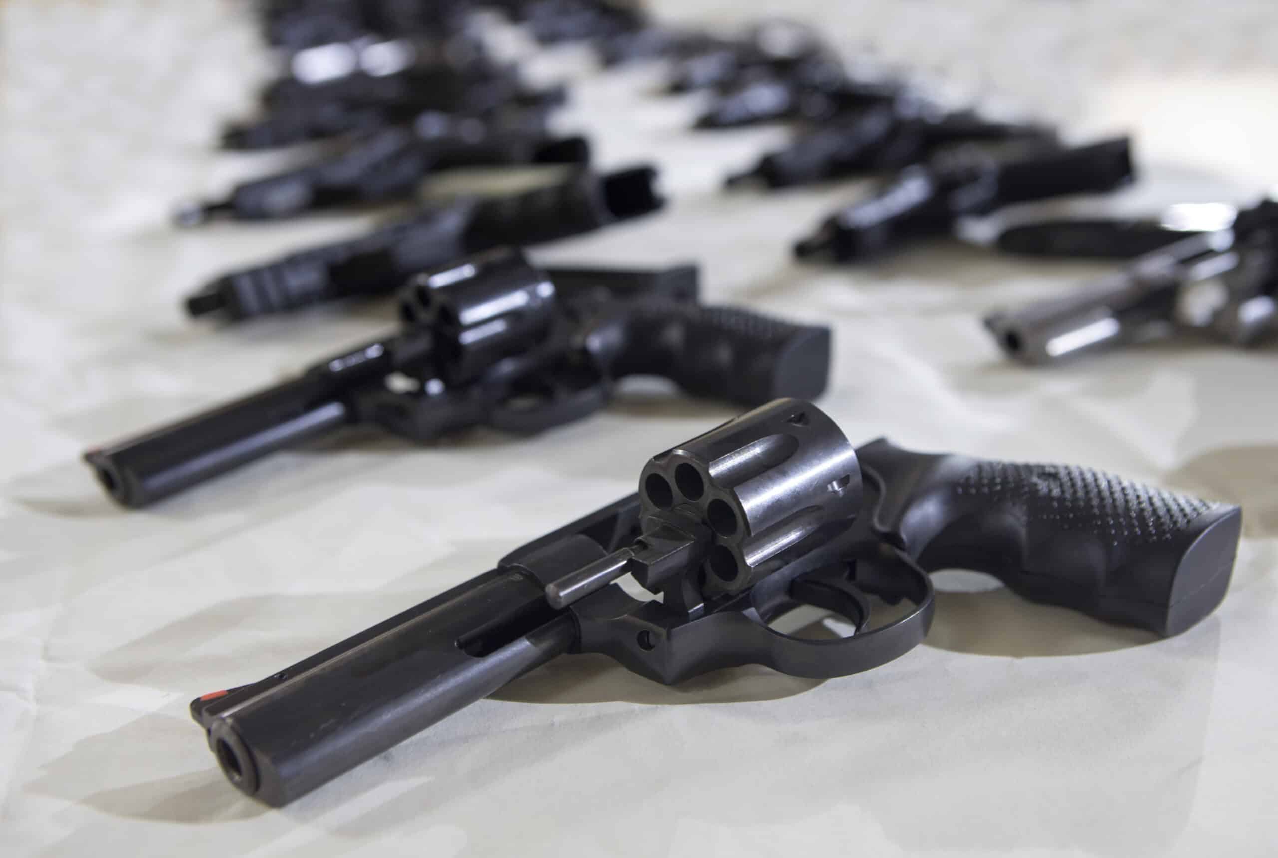 Bb nj. Gun License California