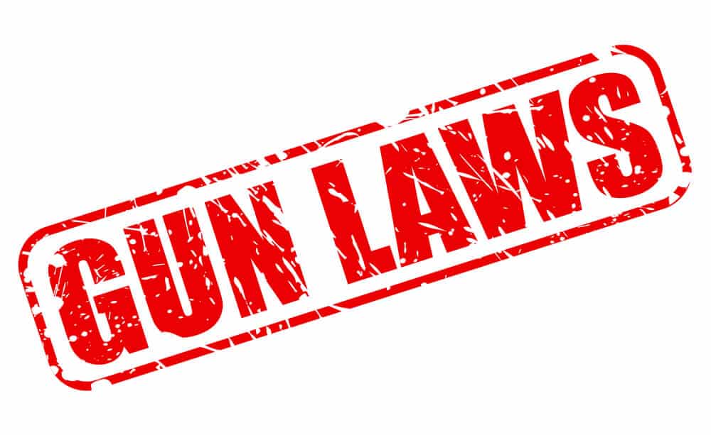 What do New Jersey's 7 New Gun Laws Do?