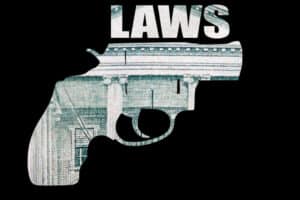 Appellate Court Addresses Multiple Practices in NJ Firearms Permit Appeals, Forfeitures, and Application Reviews